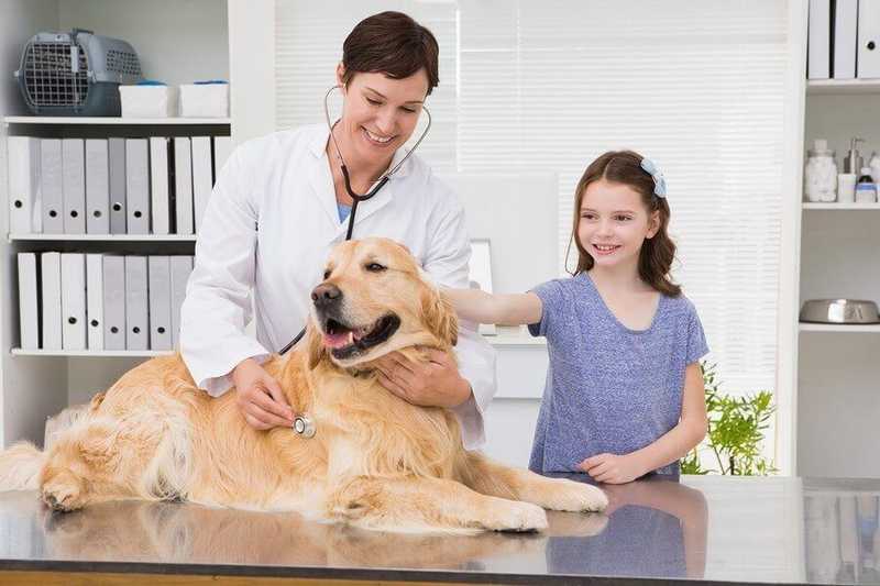Ultimate Guide to Pet Health Care: Ensuring Your Pet’s Well-being